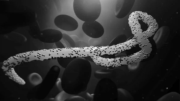 Σωματίδιο Του Ιού Έμπολα Στη Ροή Του Αίματος Ψηφιακή Απεικόνιση — Φωτογραφία Αρχείου