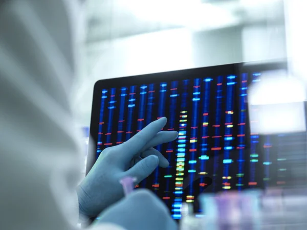 Mãos Cientista Segurando Tubo Ensaio Examinando Resultado Dna Tela Durante — Fotografia de Stock