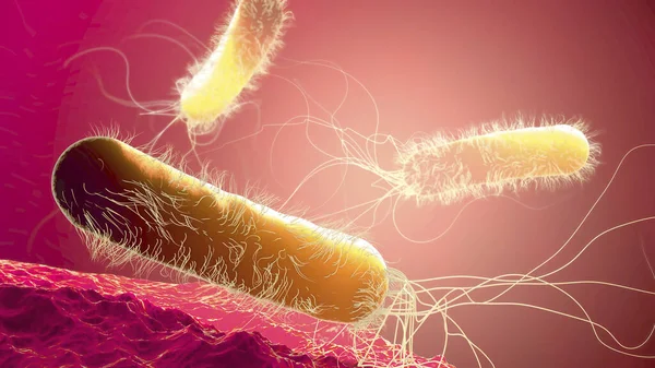 Antibiotic Resistant Pseudomonas Aeruginosa Rod Shaped Bacteria Digital Illustration — Stock Photo, Image