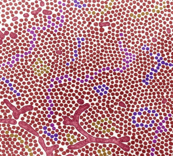 多数のマイクロビリ 着色された透過電子顕微鏡を示す小腸の腸内ブラシの境界 — ストック写真