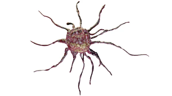 Komórka Rakowa Ilustracja Komputerowa — Zdjęcie stockowe