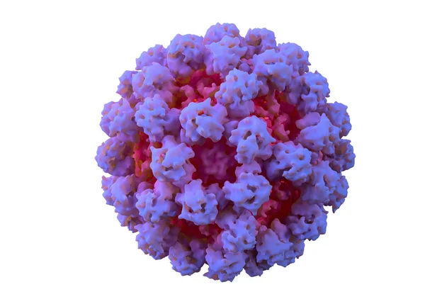 Norovirus Illustrazione Norovirus Insetto Vomito Invernale Genere Virus Dell Rna — Foto Stock