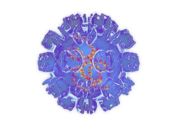 Vírus Rio Ross Ilustração Computacional — Fotografia de Stock