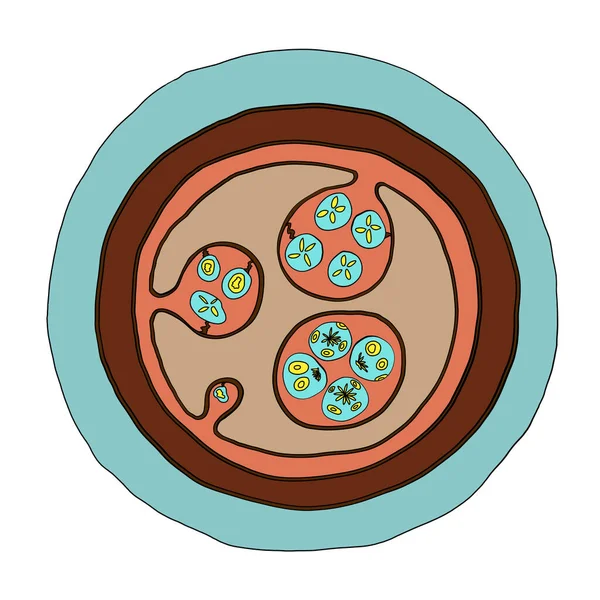 Quiste Hidatídico Echinococcus Granulosus Ilustración Por Ordenador — Foto de Stock