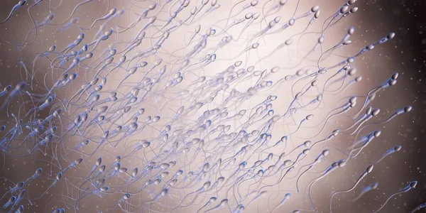 Spermatozoi Umani Illustrazione Del Computer — Foto Stock