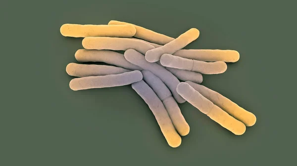 Tuberculose Bacteriën Illustratie — Stockfoto