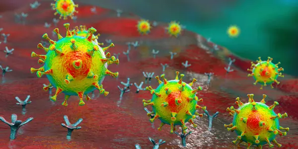 Covid Coronavirus Σύνδεση Ανθρώπινο Κύτταρο Εννοιολογική Απεικόνιση Υπολογιστή — Φωτογραφία Αρχείου