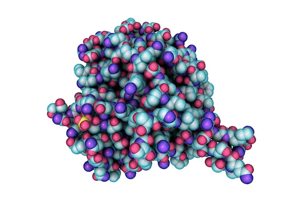 Hantavirus Hantavirus Hüllglykoprotein Asymmetrische Einheit Computerillustration — Stockfoto