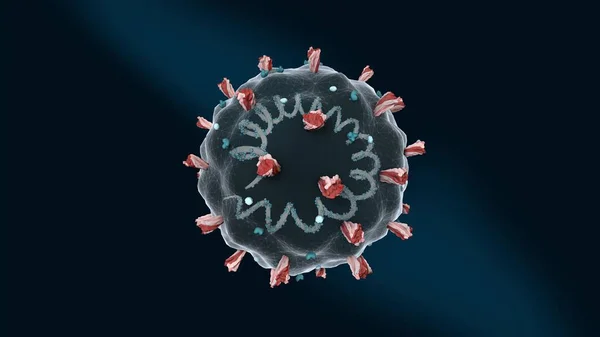 Estrutura Coronavírus Ilustração Computador Mostrando Coronavírus Com Rna Ácido Ribonucleico — Fotografia de Stock
