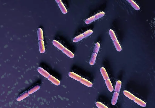 Colonie de bactéries Escherichia coli — Photo de stock