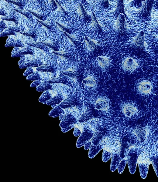 Bacillus batteri forma — Foto stock