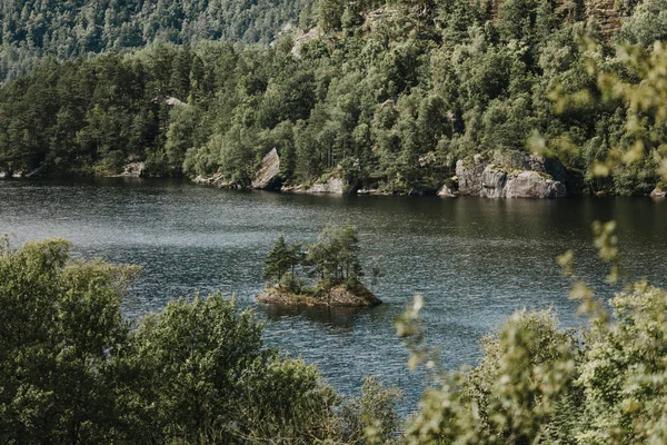 Άγριο ποτάμι που περιβάλλεται από ένα καταπράσινο δάσος — Φωτογραφία Αρχείου