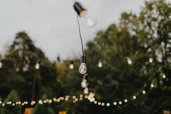 string lights hanging on wire ropes