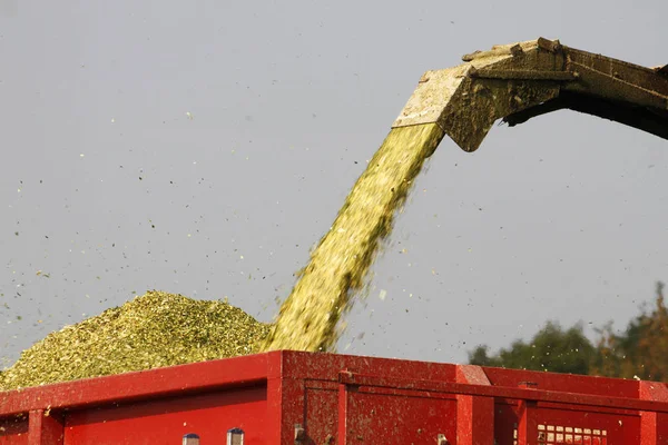 Landwirtschaft Produktion Landschaft