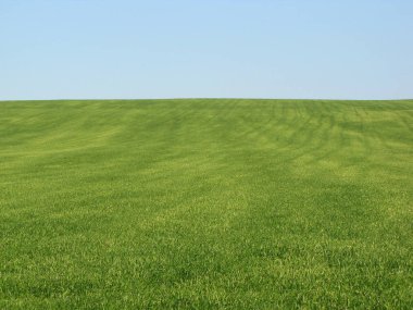 Landwirtschaft Produktion Landschaft