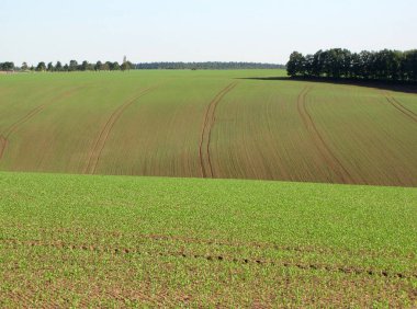 Landwirtschaft Produktion Landschaft