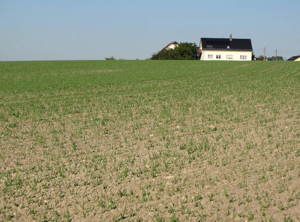 Landwirtschaft Produktion Landschaft — Zdjęcie stockowe