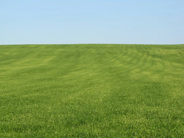 Landwirtschaft Produktion Landschaft Jogdíjmentes Stock Fotók