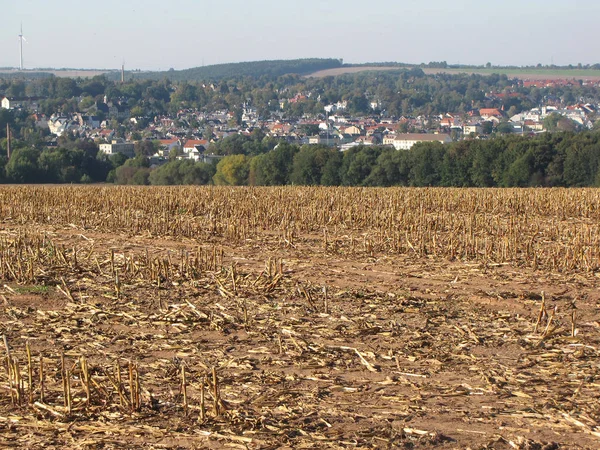 Landwirtschaftliche Produktionslandschaft — Stockfoto