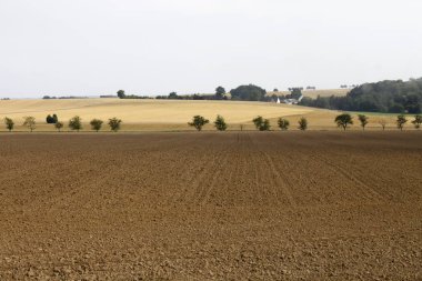 Landwirtschaft Produktion Landschaft