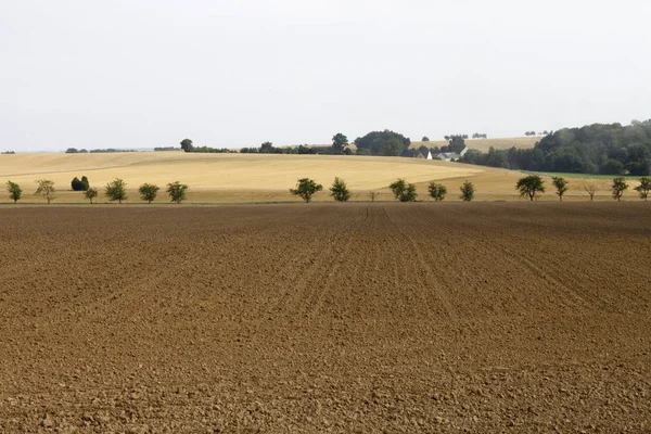 Landwirtschaftliche Produktionslandschaft — Stockfoto