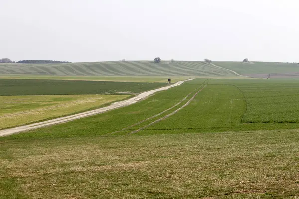 Landwirtschaft Produktion Landschaft — Stok fotoğraf