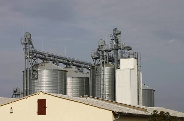 Landwirtschaft Produktion Landschaft — Stock fotografie