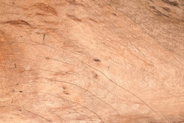 Ahşap Arkaplan Dokusu