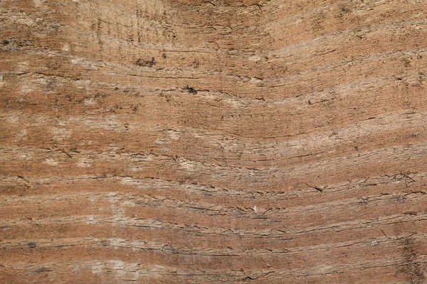Superficie de madera blanda como fondo — Foto de Stock