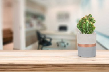 Oturma odasındaki masada vazonun üzerinde kaktüs olan çimento vazosu.