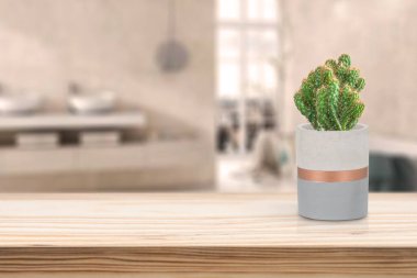 Oturma odasındaki masada vazonun üzerinde kaktüs olan çimento vazosu.