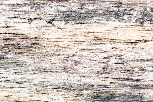 Ρουστίκ Ξύλινη Υφή Άδειο Φόντο Μαλακό Ξύλο Φυσικό Μοτίβο — Φωτογραφία Αρχείου
