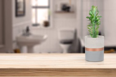 Oturma odasındaki masada vazonun üzerinde kaktüs olan çimento vazosu.