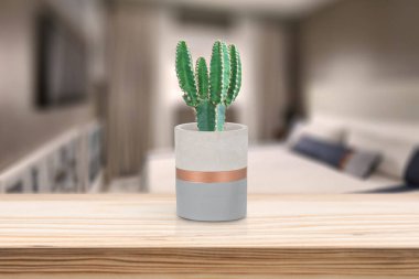 Oturma odasındaki masada vazonun üzerinde kaktüs olan çimento vazosu.