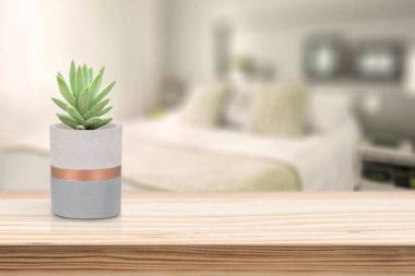 Oturma odasındaki masada vazonun üzerinde Suculent olan çimento vazosu.