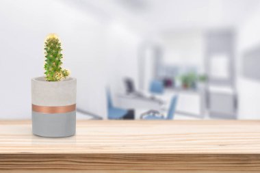 Oturma odasındaki masada vazonun üzerinde kaktüs olan çimento vazosu.