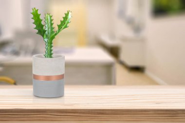 Oturma odasındaki masada vazonun üzerinde kaktüs olan çimento vazosu.