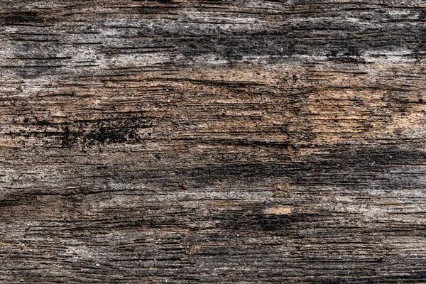 Ρουστίκ Ξύλινη Υφή Άδειο Φόντο Μαλακό Ξύλο Φυσικό Μοτίβο — Φωτογραφία Αρχείου