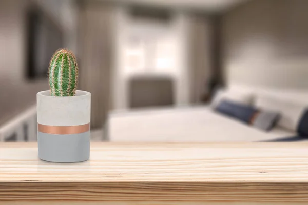 Cement Vase with cactus on vase pot on table in living room