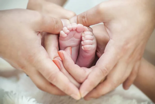 Newborn Baby Feet Cupped Mothers Hands Isolated White Background — Stock Photo, Image