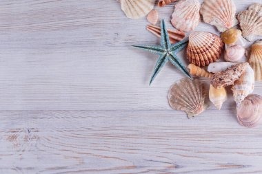 Beyaz rustik ahşap arka planda deniz yıldızları ve deniz kabukları.