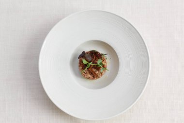 Beyaz arka planda ördek tartar