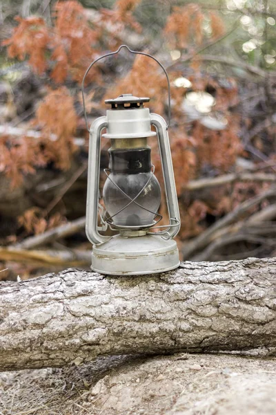oil lantern on wood log in the forest