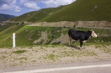 Kafkasya Dağları 'ndaki mağaralar, Çeçenistan, Rusya