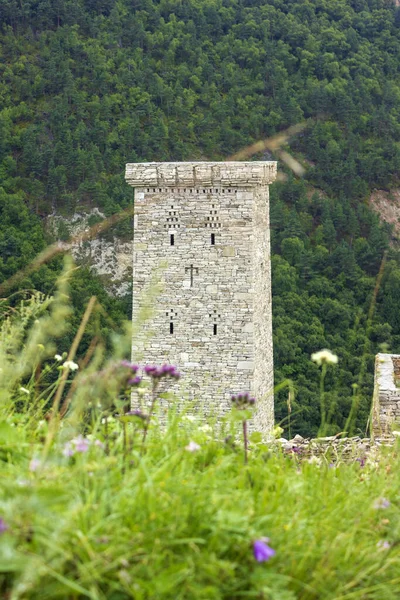 Khoi konut kulesi restore edildi, Xiv-Xvi asırlardır aynı ismin yerleşim bölgesinde. Bu kulenin tepesinde sert bir erkeksi taç var, dört bir yanına sarın. Stok Resim