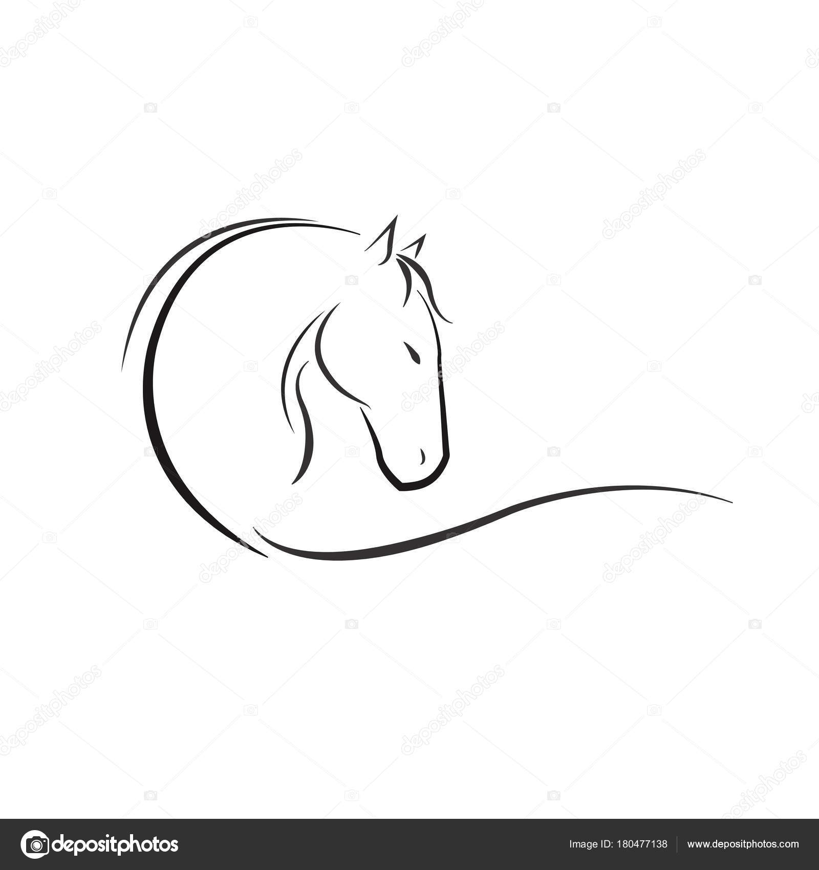 Dessin Trait Illustration Cheval Photographie Tetreb88