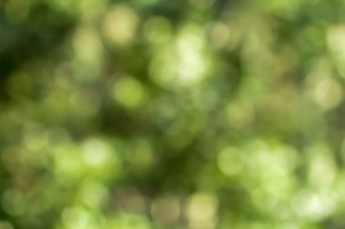 Doğa Bokeh - Soyut arkaplan