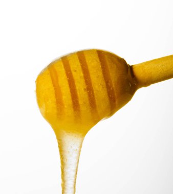 Bal balığı beyazda izole edilmiş.