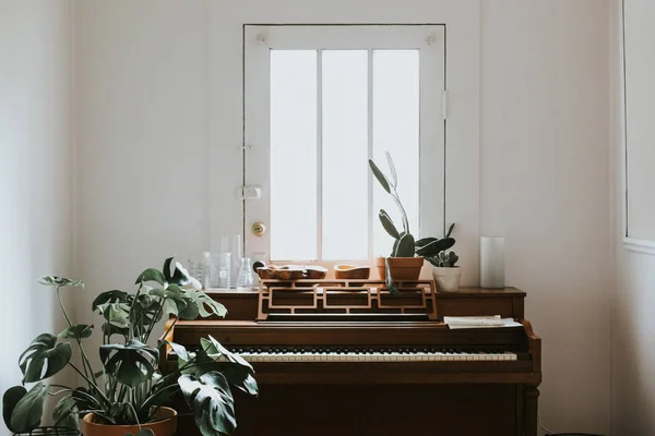 Растения в горшках на фортепиано — стоковое фото