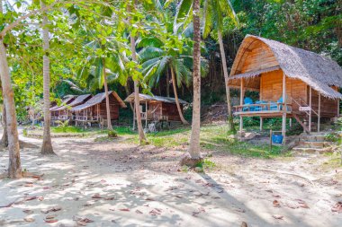 Palmiye ağaçları ile sahilde Palm bungalows